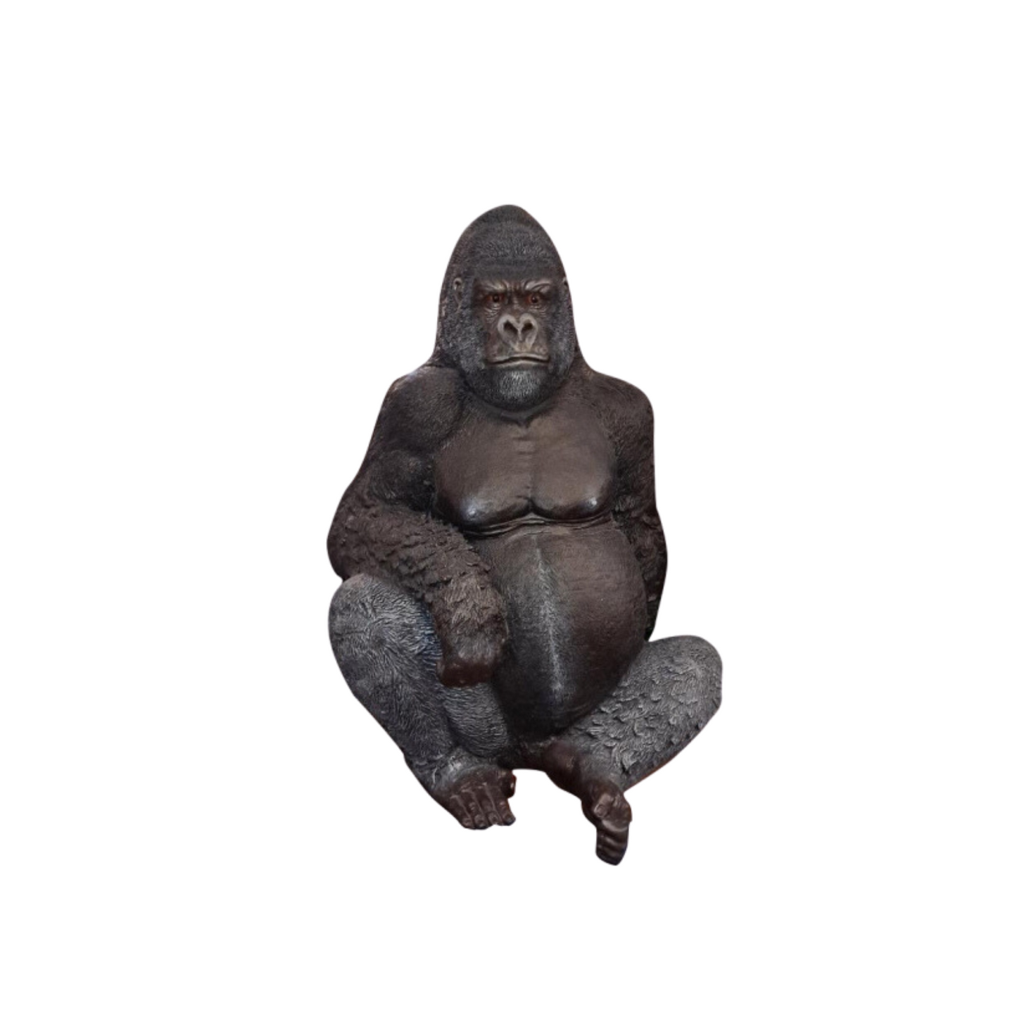 Silverback Gorilla